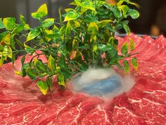 -快乐小羊·内蒙牛羊肉火锅(流花中心店)