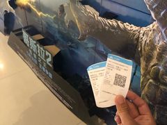 -万达影城(洛阳万达广场IMAX激光店)