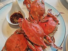 -码头鲜精致威海菜(欧乐坊店)