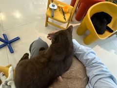 -平行世界·猫咖(首经贸店)