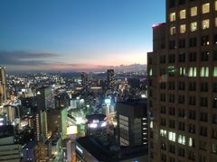 -上海波特曼丽思卡尔顿酒店