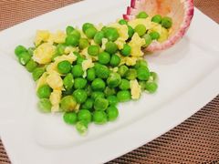 -爱月宝月嫂·育儿嫂(哈尔滨总店)