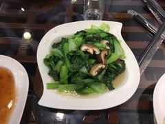 香菇青菜-梦江南