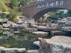 -桃花岭景区