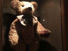 -济州岛泰迪熊博物馆