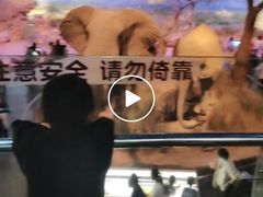 -天津自然博物馆