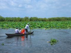-洪湖生态旅游区