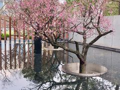 景点-静安雕塑公园