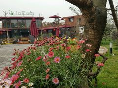 -森居forest休闲咖啡聚集地