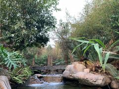 -清远熹乐谷温泉度假酒店