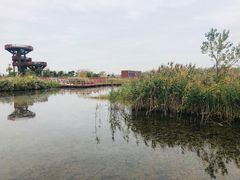 -芒洲湿地公园
