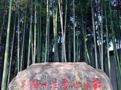 -上海醉白池公园