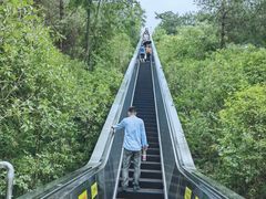 -千岛湖天屿景区