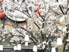 -绿地风尚天地广场