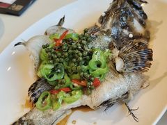 古法蒸老虎斑-利苑酒家(金宝店)