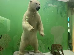 -国家自然博物馆