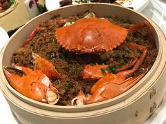 -千灯盛汇·头牌粤菜(致越优城店)