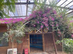 -呀路古热带植物园