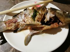 -肥鱼屯活鱼锅(惠工街店)