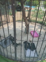 -萌宠亲子动物乐园(槐房万达店)