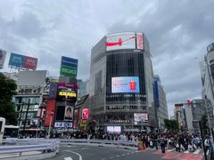 -涩谷全向十字路口