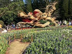 -深圳仙湖植物园
