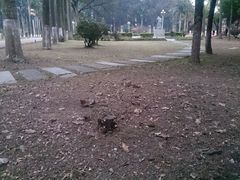 -广东外语外贸大学(白云山校区)