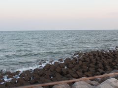 -东堤公园