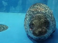 -成都浩海立方海洋公园