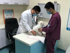 -宠颐生东兴动物医院(大悦城店)
