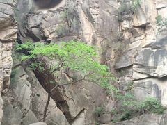 -黑龙潭风景区