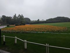 -世纪公园-1号门停车场