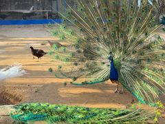 -森林公园(尖草坪区)