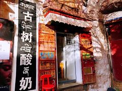 门面-古树酸奶(八廓南街店)
