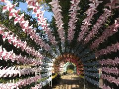 -宝岩生态观光园