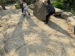 -上海佘山国家森林公园天马山园