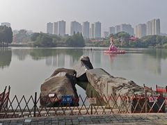 -青枫公园