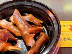 -陈鹏鹏潮汕菜(宝安机场T3航站楼店)