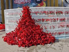 -万达广场(龙湖店)