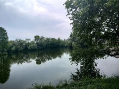 -新荣记(西溪湿地店)