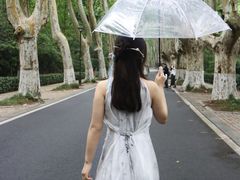 -灵谷景区