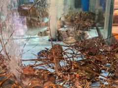 -阿伟海鲜楼·福建菜(延寿店)