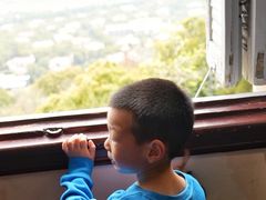 -上海佘山国家森林公园西佘山园