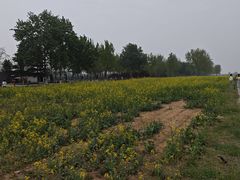 -汉长安城未央宫国家考古遗址公园