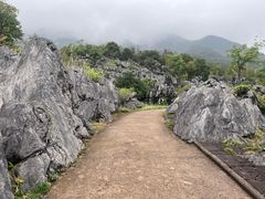 -千岛湖石林