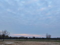 -汉长安城未央宫国家考古遗址公园