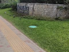 -三亚亚龙湾天域度假酒店