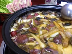 -菌之家·专业纯野生菌火锅·特色炒菌