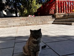 -四门塔风景区