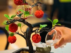 -椿记烧鹅(叠彩店)